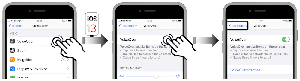 Access illustration via Settings - Accessibility - VoiceOver - VoiceOver